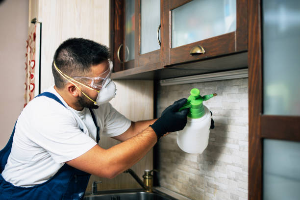 Best Pest Removal Services  in Oceana, WV