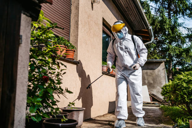 Best Pest Control Near Me in Oceana, WV